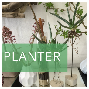Planter