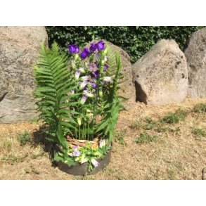 Grenkrans i symfoni med havens blomster