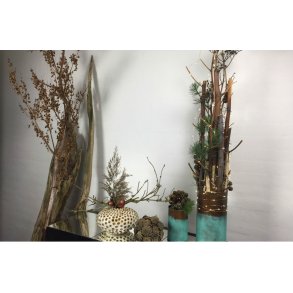 Søjle med japansk pileurt