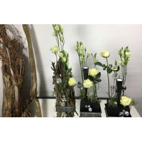 Sort oasis giver nye muligheder