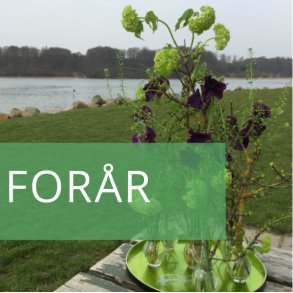 Forår