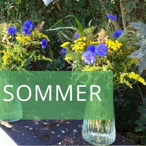 Sommer