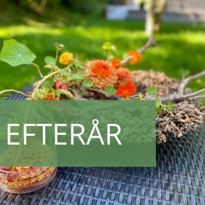 Efterår