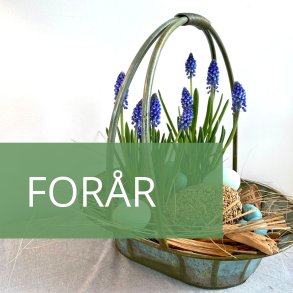 Forår
