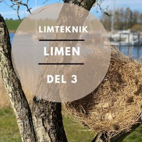 Grundkursus - modul 3 Limen