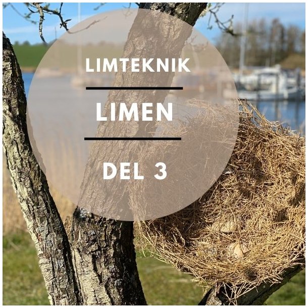 Grundkursus - modul 3 Limen