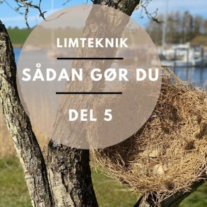 Grundkursus - modul 5 Sdan gr du