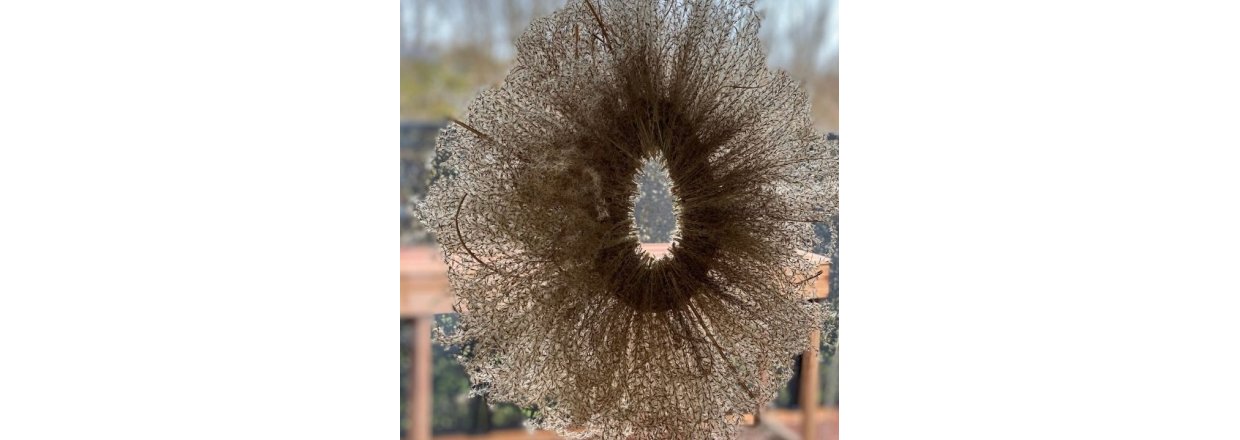 Udstillingen 'NYT LIV' - til fordel for Rde Kors