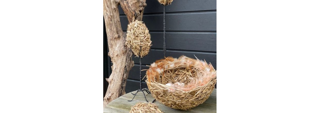 Udstillingen 'NYT LIV' - til fordel for Rde Kors