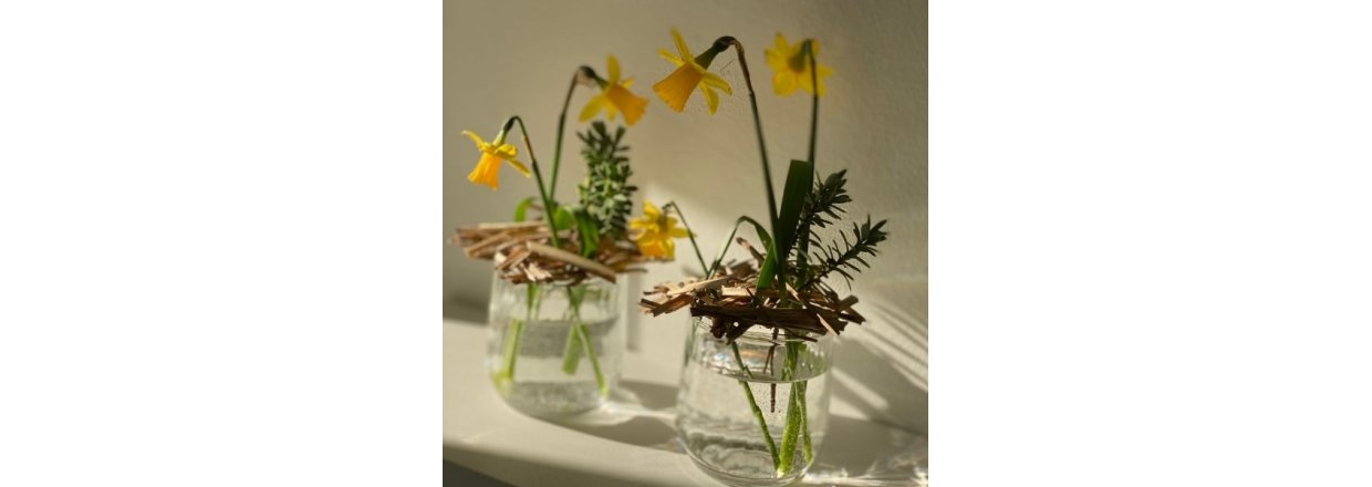 Udstillingen 'NYT LIV' - til fordel for Rde Kors