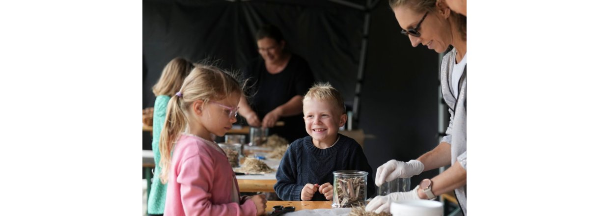 Naturkunstfestival i Fredericia