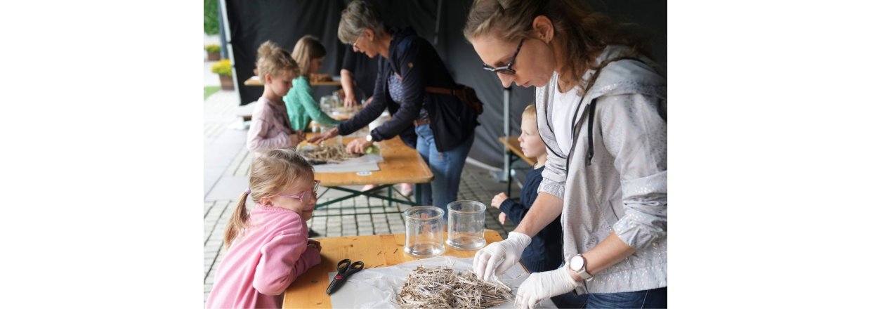 Naturkunstfestival i Fredericia