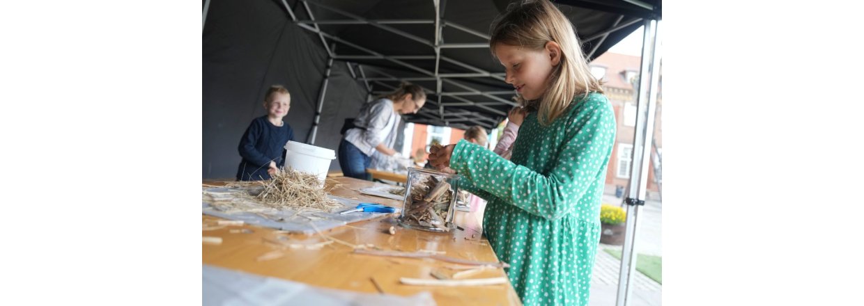 Naturkunstfestival i Fredericia