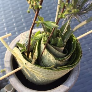 Stativ af rullede blade