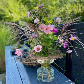 En plade af fyrrenåle