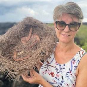 I Det Indiske Ocean - resultatet