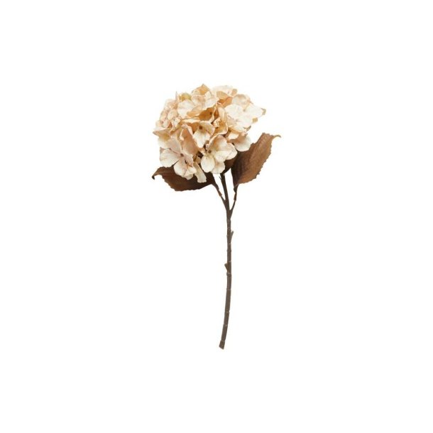 Hortensia, rhvid, 48cm