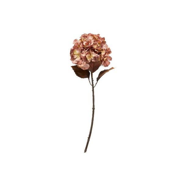 Hortensia, rosa, 62 cm