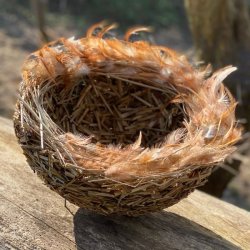 For�r med limteknik - Viborg