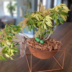 Ideer og tips til styling af limteknik