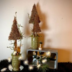 Uniqas store juledemonstration