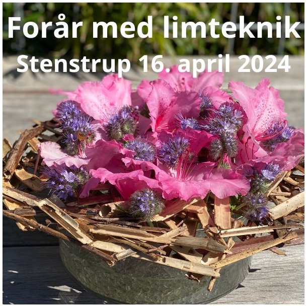 Forårskursus i limteknik - Stenstrup