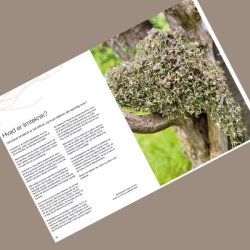 Bog "Den store grundbog om limteknik"