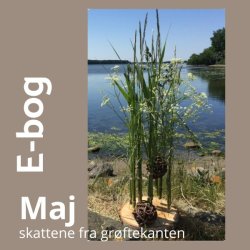 Maj - skattene fra gr�ftekanten