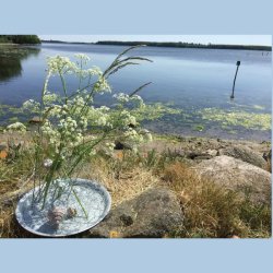 Maj - skattene fra gr�ftekanten