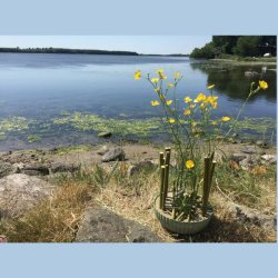 Maj - skattene fra gr�ftekanten