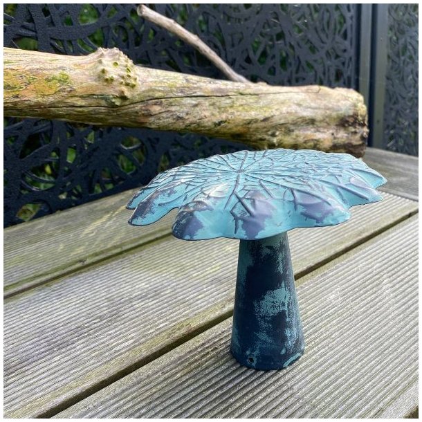 Svamp Fad &amp; stage