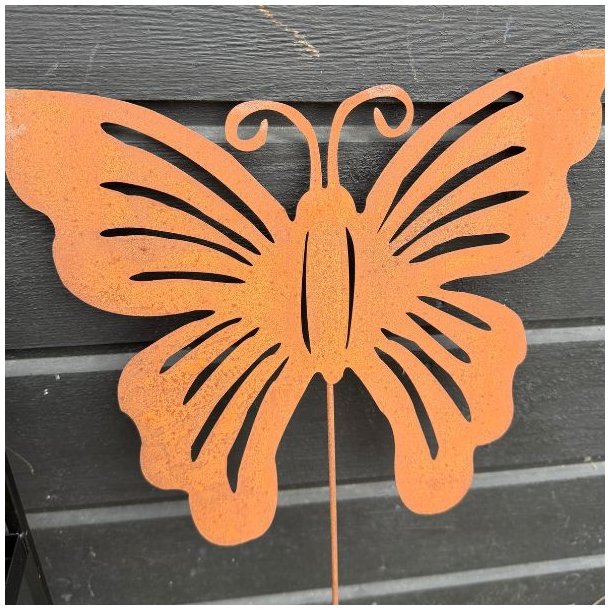 Sommerfugl p� pind/rust
