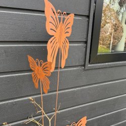 Sommerfugl p� pind/rust
